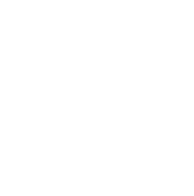 Client Partner